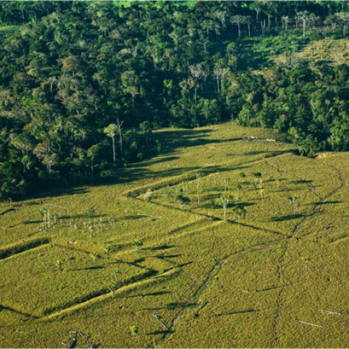 Arheologii descoperă metropole uitate în jungla Amazoniană