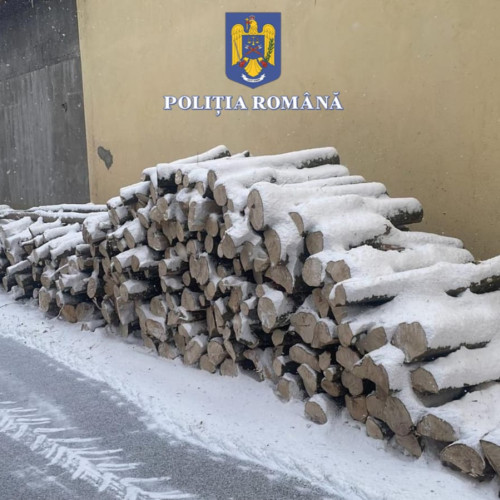 Acțiune împotriva transporturilor ilegale de lemn în Brașov
