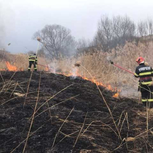 Incendiu de vegetație uscată în localitatea Mândra