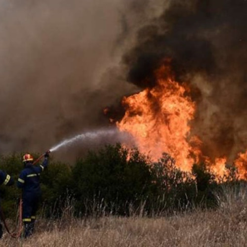 Incendii devastatoare în România: peste 8.000 de hectare afectate