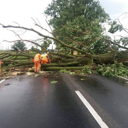 Trafic blocat pe DN 1E, la ieșirea din Râșnov