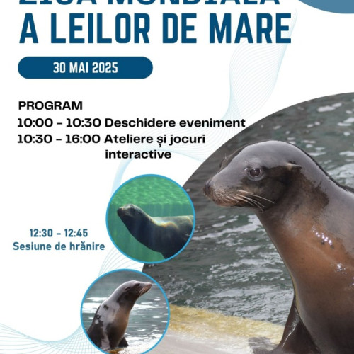 Ziua Mondială a Leilor de Mare la Zoo Brașov