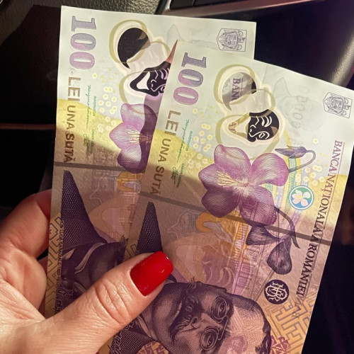 Plata indemnizațiilor pentru membrii secțiilor de votare din alegeri, realizată începând de ieri