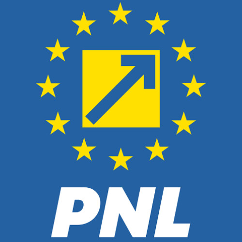 Sedinta a conducerii PNL pentru stabilirea datei congresului