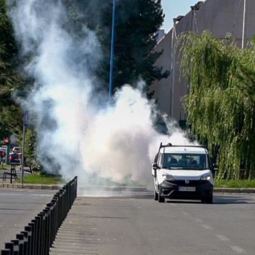 Firma coral impex va efectua dezinsectie si tratamente pentru combaterea tantarilor in Brasov