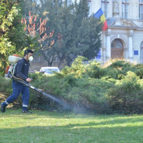 O nouă campanie de combatere a căpușelor, săptămâna aceasta, în municipiul Brașov