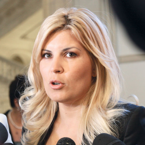ANAF scoate la licitaţie 40 de hectare de teren deţinute de Elena Udrea