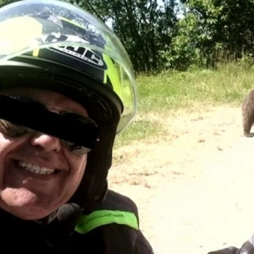 Ce se va întâmpla cu cei trei pui ai ursoaicei care a ucis motociclistul italian pe Transfăgărășan