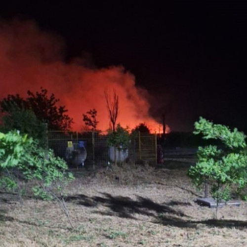 Incendiu de vegetație lângă un azil din Constanța. 48 de persoane au fost evacuate (VIDEO)