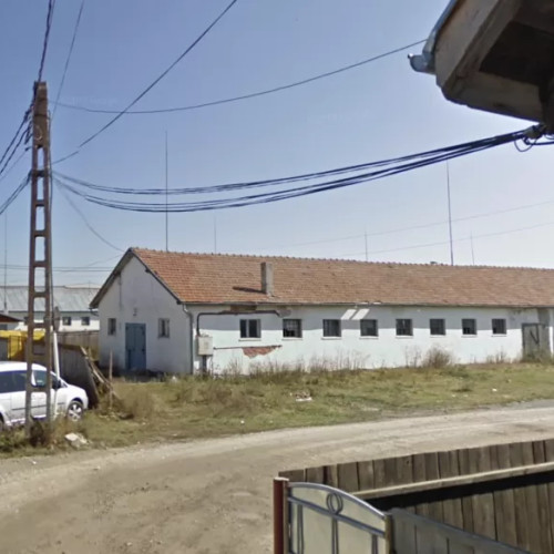 Un incinerator pentru animalele de companie ar urma să fie construit în Hărman. Avizarea instalației, în analiză la Mediu