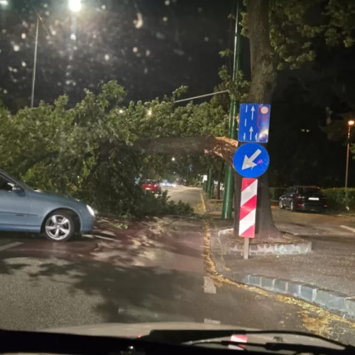 Un copac a căzut peste o mașină, în zona Spitalului Astra