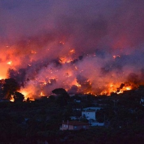 Panică pe insula Thassos, din Grecia: incendiu de vegetație violent