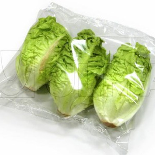 Alertă europeană: Salatele ambalate din România, contaminate cu parazitul toxoplasma gondii