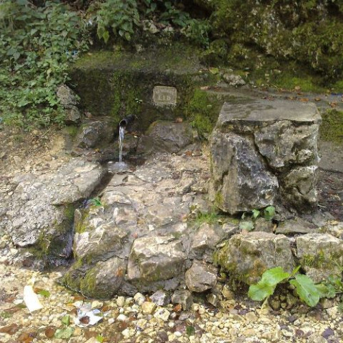 Image Description