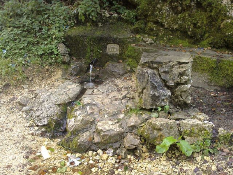 Image Description