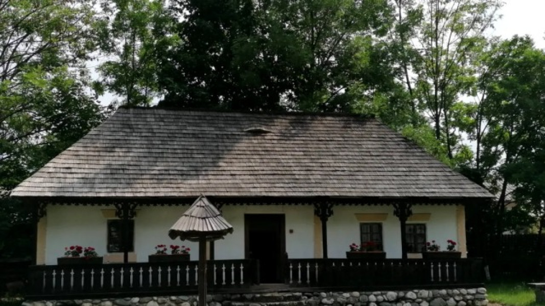 Image Description