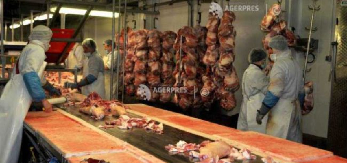 Producția de carne în iulie 2025: creșteri la bovine și păsări, scăderi la ovine