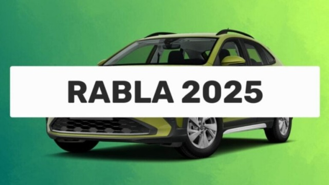 Miniștrii pregătesc aprobarea Programului Rabla pentru 2025